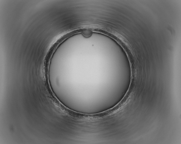 X0000113141022200909181725