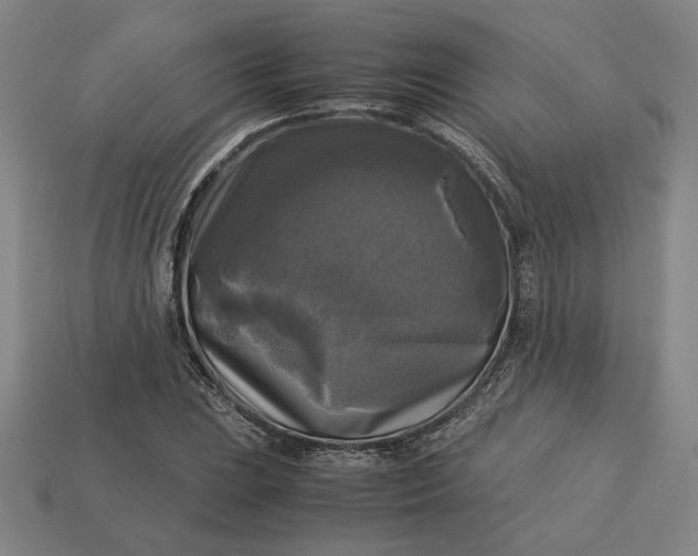 X0000113141023200909181725