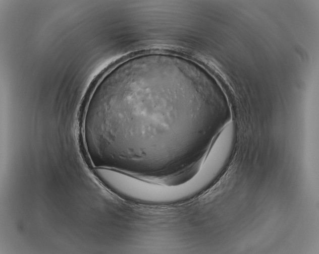 X0000113141024200909181725