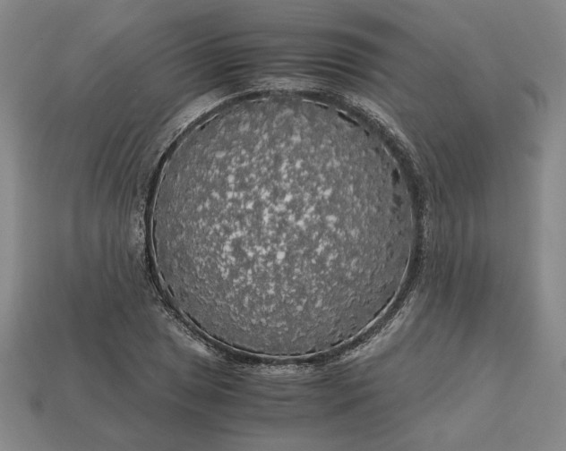 X0000113141025200909181725