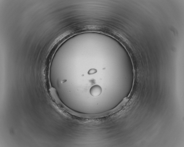 X0000113141026200909181725