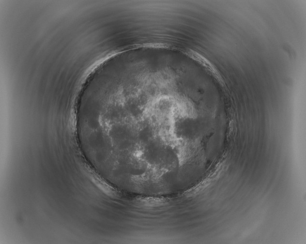 X0000113141027200909181725