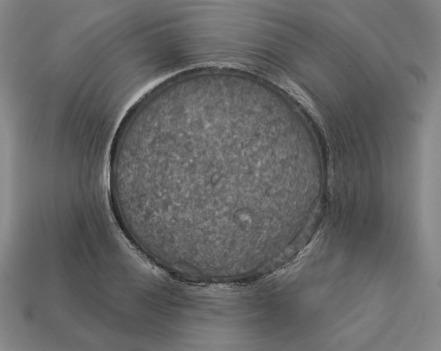 X0000113141028200909181725