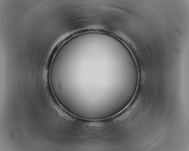 X0000113141029200909181725