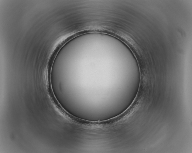 X0000113141030200909181725