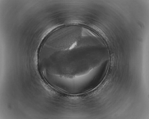 X0000113141031200909181725