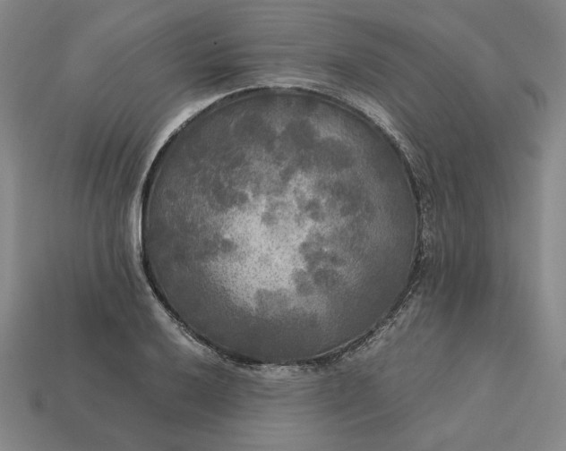 X0000113141032200909181725