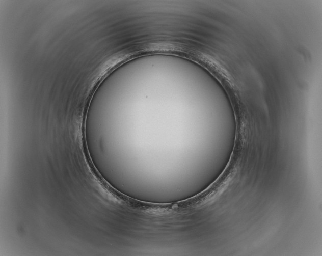 X0000113141033200909181725