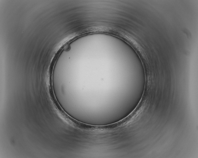 X0000113141034200909181725