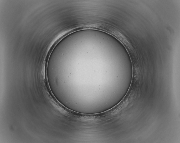 X0000113141036200909181725