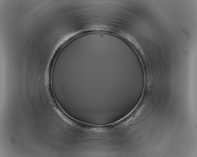 X0000113141037200909181725