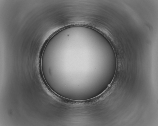 X0000113141038200909181725