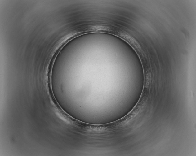 X0000113141039200909181725