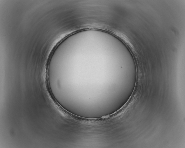 X0000113141040200909181725