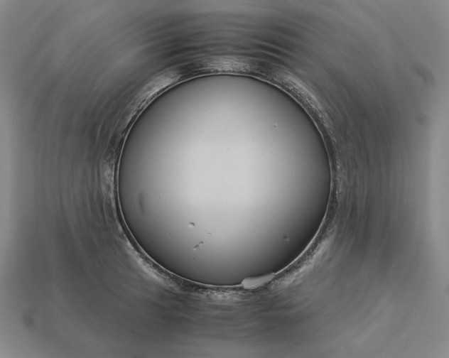 X0000113141041200909181725