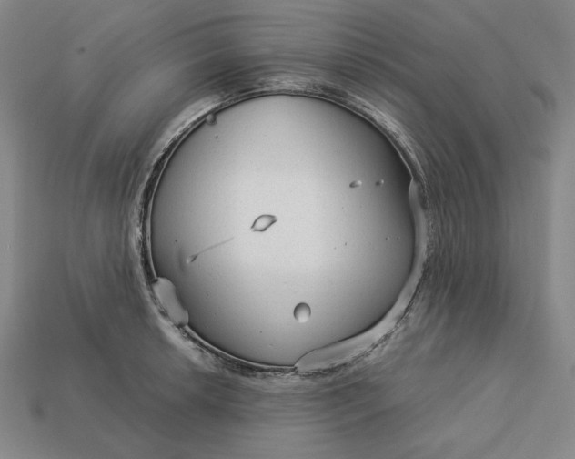 X0000113141042200909181725