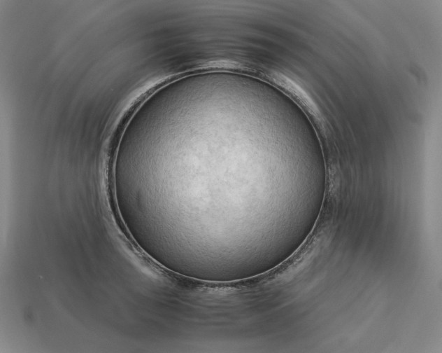 X0000113141043200909181725