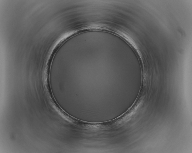 X0000113141045200909181725