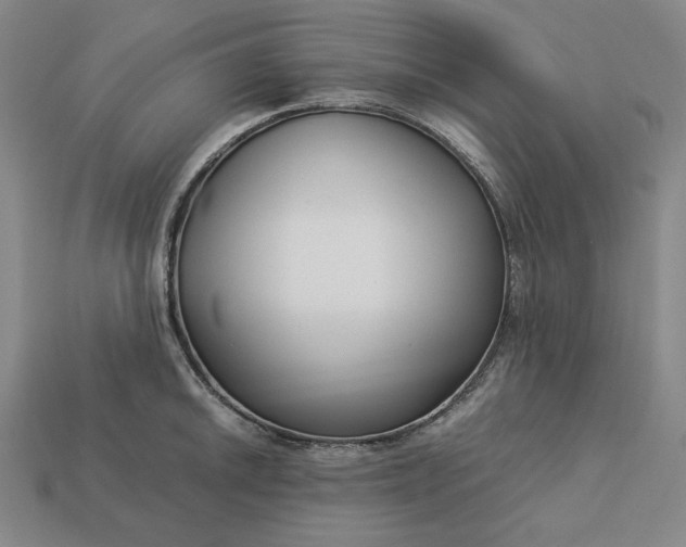 X0000113141046200909181725