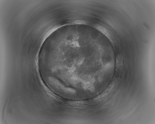 X0000113141047200909181725