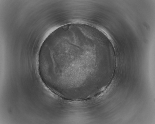 X0000113141048200909181725