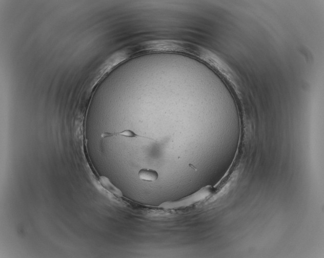 X0000113141049200909181725