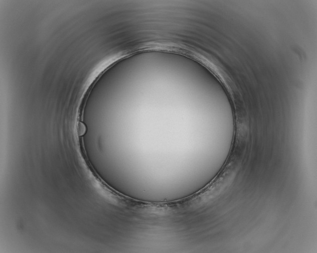 X0000113141050200909181725