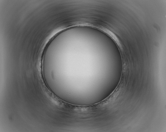 X0000113141051200909181726