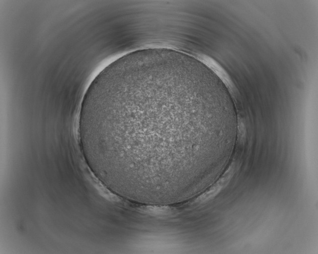 X0000113141052200909181726