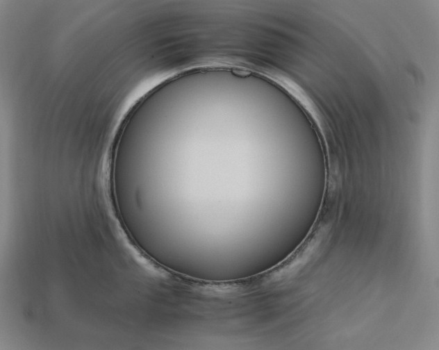 X0000113141053200909181726