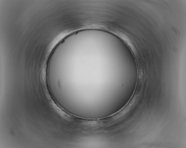 X0000113141054200909181726