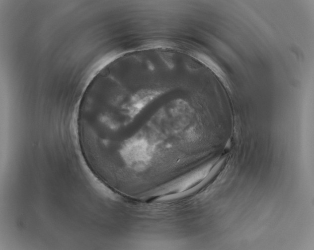 X0000113141055200909181726