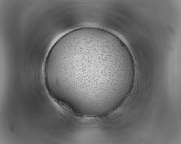 X0000113141056200909181726