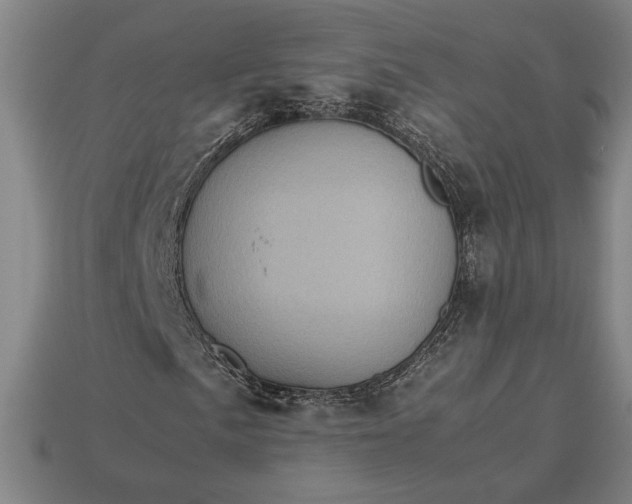 X0000113141057200909181725