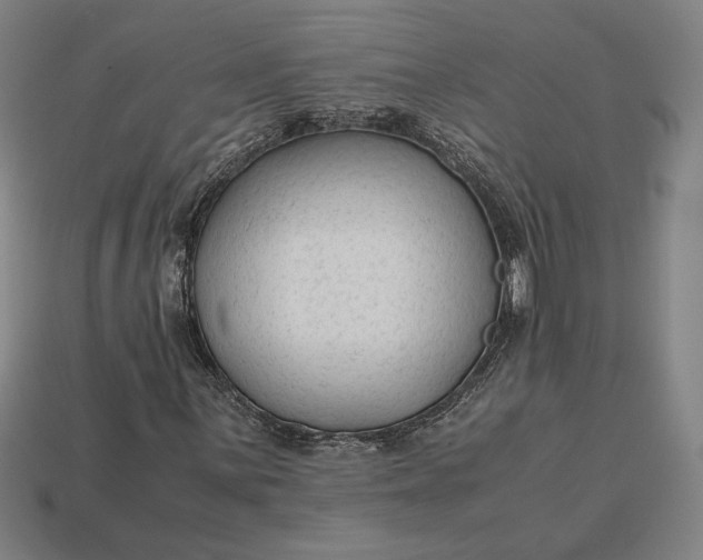 X0000113141059200909181725