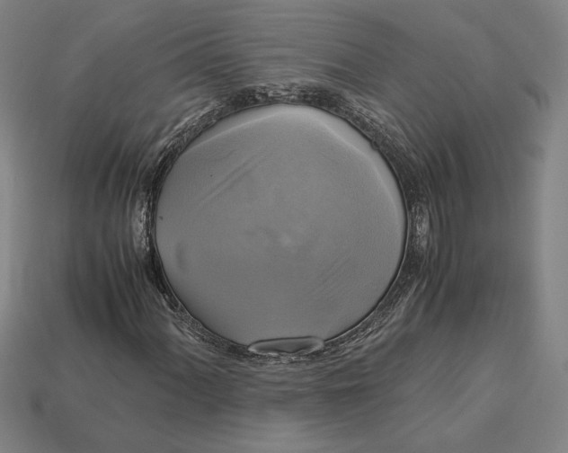 X0000113141060200909181725