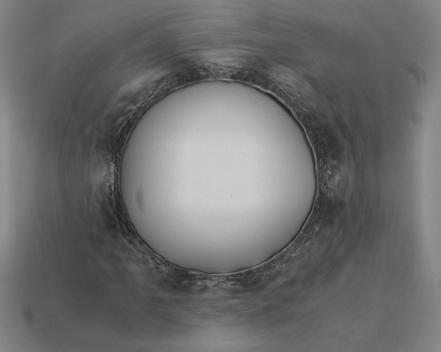 X0000113141061200909181725