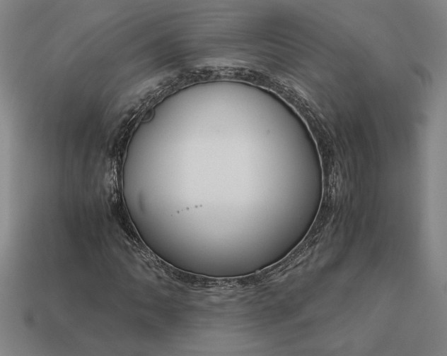 X0000113141062200909181725