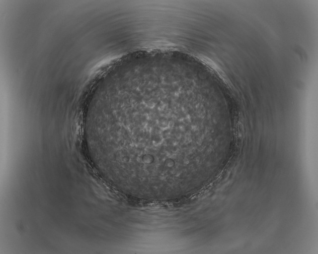 X0000113141063200909181725