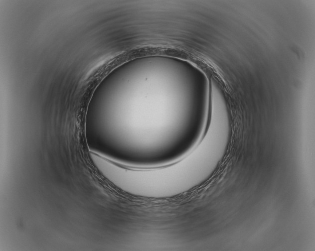 X0000113141064200909181725