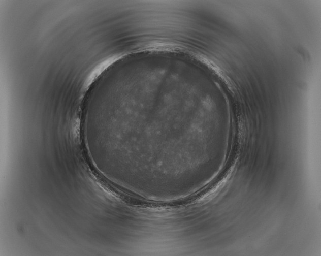 X0000113141066200909181725