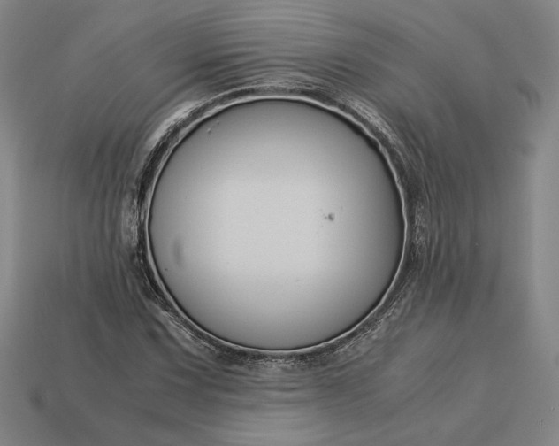 X0000113141067200909181725