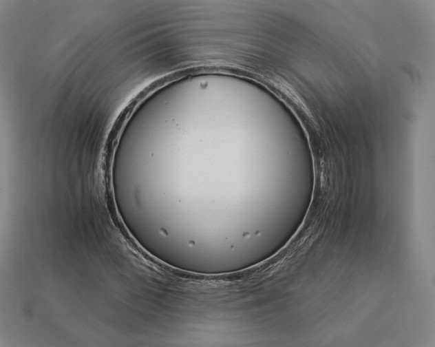 X0000113141068200909181725