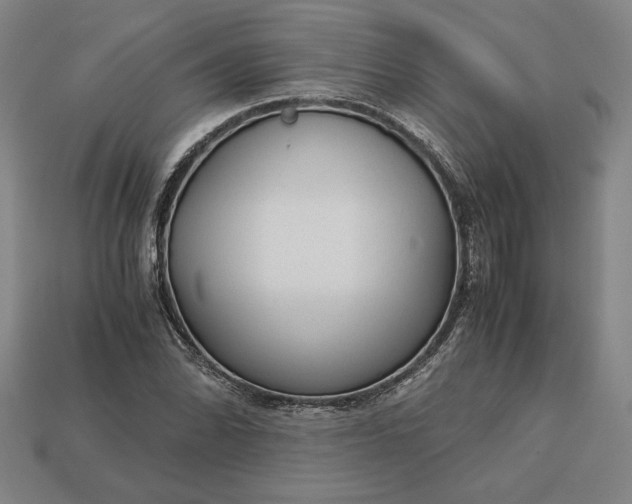 X0000113141070200909181725