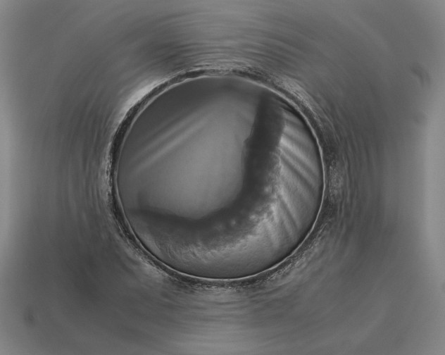 X0000113141071200909181725