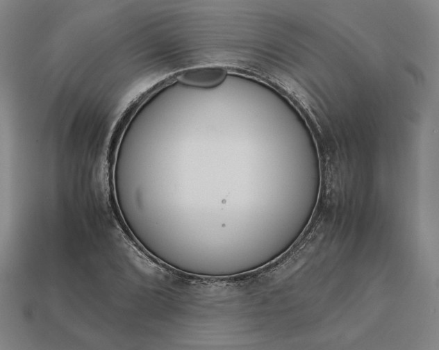 X0000113141072200909181725