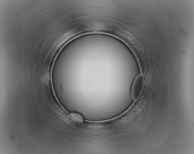 X0000113141073200909181725