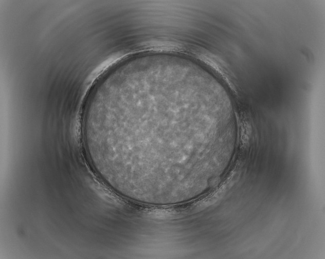 X0000113141074200909181725