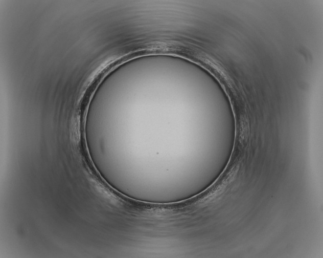 X0000113141075200909181725