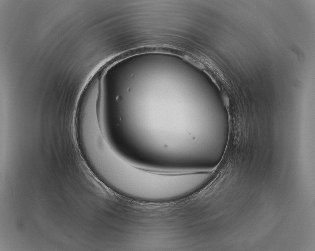 X0000113141076200909181725